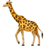 Girafa