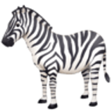 Zebra - Facebook