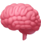 Cérebro - Facebook