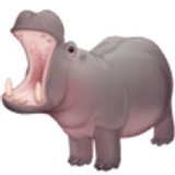 Hipopótamo - Facebook