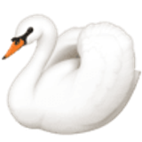 Cisne - Facebook