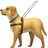 Cão-guia