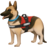 Cão de serviço - Facebook