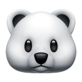 Urso polar