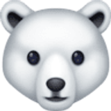Urso polar - Facebook