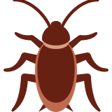 Barata - Twitter / X