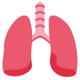 Pulmões - Twitter / X