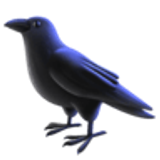 Pássaro preto - Facebook