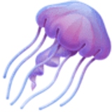 Água-viva - Facebook