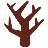 Árvore seca - Twitter / X