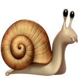caracol whatsapp