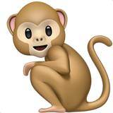 Macaco