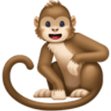 Macaco - Facebook