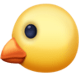 Pintinho de perfil - Facebook