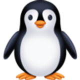 Pinguim - Facebook