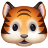 Rosto de tigre - Facebook