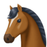 Rosto de cavalo - Facebook