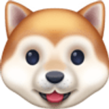 Rosto de cachorro - Facebook