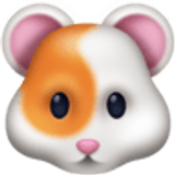 Rosto de hamster - Facebook