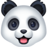 Rosto de panda - Facebook