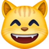 Rosto de gato sorrindo com olhos sorridentes - Facebook