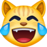 Rosto de gato com lágrimas de alegria - Facebook