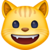 Rosto de gato sorrindo - Facebook