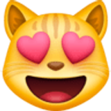 Rosto de gato sorridente com olhos de coração - Facebook