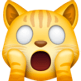 Rosto de gato desolado - Facebook