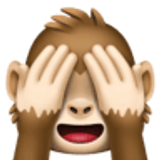 Macaco que não vê nada - Facebook