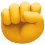 Punho levantado - Facebook