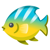 Peixe tropical - Noto Color Emoji