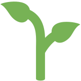 Muda de planta - Twitter / X