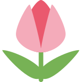 Tulipa - Twitter / X