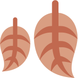 Folhas caídas - Twitter / X