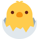 Pintinho chocando - Twitter / X