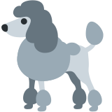 Poodle - Twitter / X