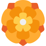 Roseta - Twitter / X