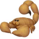 Escorpião - Facebook