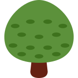 Árvore caidiça - Twitter / X