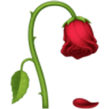 Flor murcha - Facebook