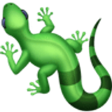 Lagartixa - Facebook