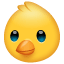 WhatsApp de pintinho U+1F424 WhatsApp de pintinho U+1F424