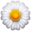 Emoji flor branca U+1F33C Emoji flor branca U+1F33C