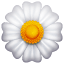 Emoji flor branca U+1F33C