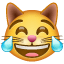 Carinha gato com lágrimas U+1F639