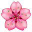 Emoji flor de serejeira U+1F338 Emoji flor de serejeira U+1F338