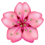 Emoji flor de serejeira U+1F338