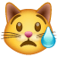 Carinha gato chorando Whatsapp U+1F63F Carinha gato chorando Whatsapp U+1F63F