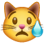 Carinha gato chorando Whatsapp U+1F63F